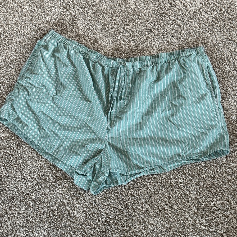 Madewell Mint and White Striped Shorts 3X
